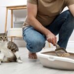 Clean Paper Cat Litter