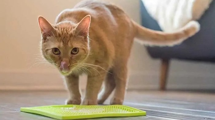 Delicious Lick Mat Recipes for Cats