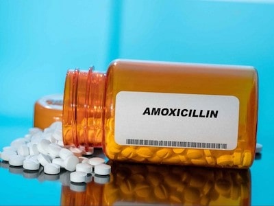 amoxicillin