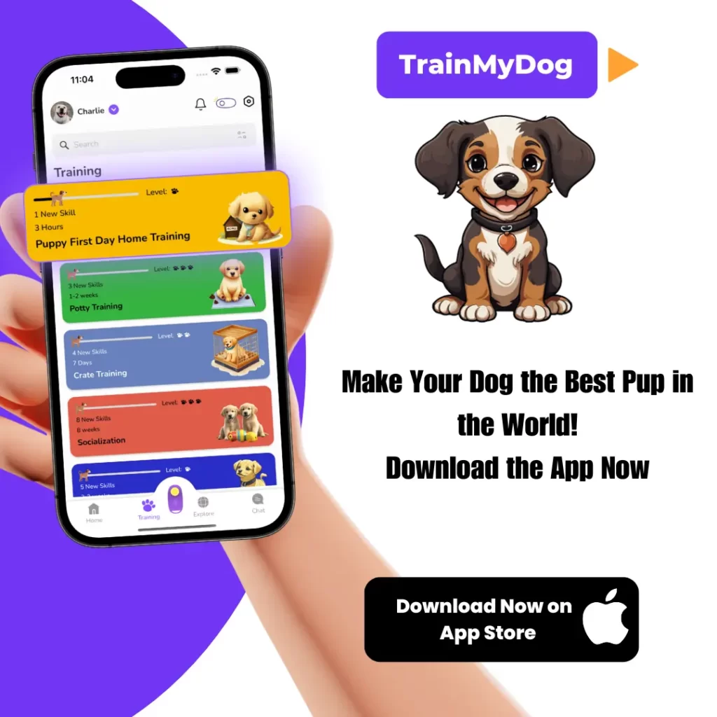 TrainMyDog