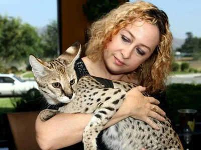 How Dangerous Are Serval Cats to Humans and Other Animals